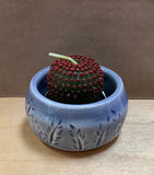 Succulent Candle Holder by Sabrina