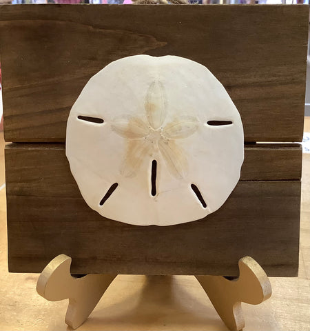 Sand Dollar Wood Easel by Lisa