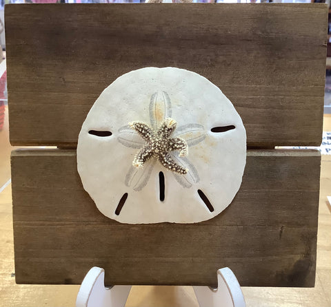 Sand Dollar/Starfish on Wood Easel by Lisa