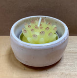 Succulent Candle Holder by Sabrina