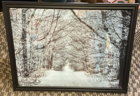 Winter Framed Scene by Robert