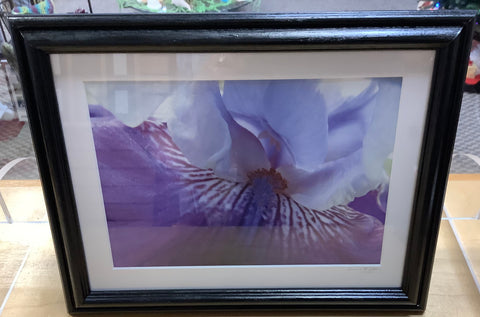 Flower photography photo framed and matted by Donna Britton