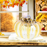 Luke Adams Glass - Classic Pumpkin Set 12 Pack: Squat (5 inch)