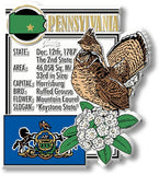 7 Star - Pennsylvania State Montage Magnet, Made in USA