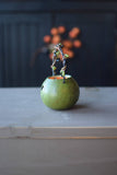Meadowbrooke Gourds - Party Treat - Frank Basket