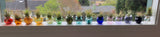 Terrapin Glass Gardens - Glass jellyfish vessels with live air plants: green/ blue Jellyfish