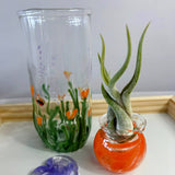 Terrapin Glass Gardens - 
Hand Blown Colorful Glass Vessels with Air Plant: Seafoam / Jellyfish