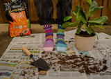 Solmate Socks - Petunia Crew Socks | Eco-Friendly & Made in the USA: Small (Women 6 - 8 / Men 5 - 7)