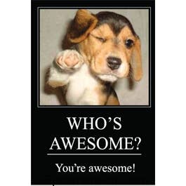 Ephemera - Magnet-WHO'S AWESOME? You're awesome!