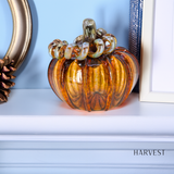 Luke Adams Glass - Classic Pumpkin Set 12 Pack: Squat (5 inch)