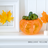 Luke Adams Glass - Classic Pumpkin Set 12 Pack: Squat (5 inch)