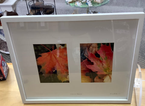 Framed two leaves by Donna