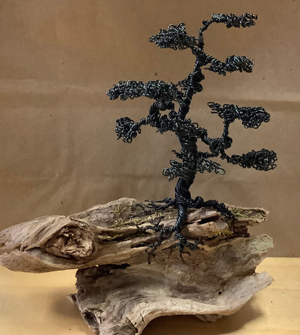#39 Black Copper Tree on Driftwood from Rose Valley Lake by Carrie