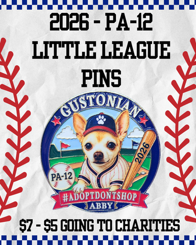 2026 Little League Pin - PA-12