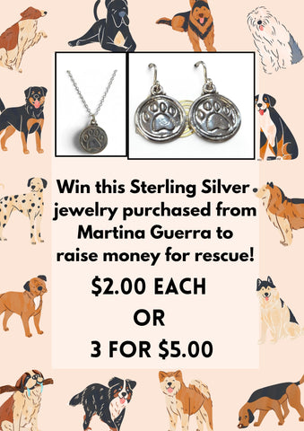 Raffle chance for sterling silver earrings