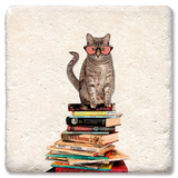 DRINK COASTER Cat Sitting on Books