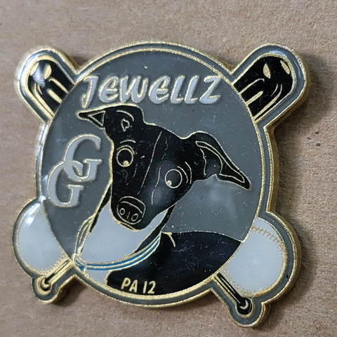 Jewellz Little League Pin