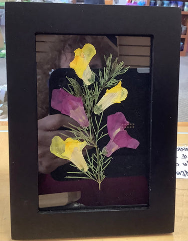 5 1/2 x 7 framed dried Flowers by Cecelia