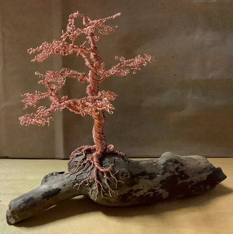 #13 Medium Copper Tree by Carrie