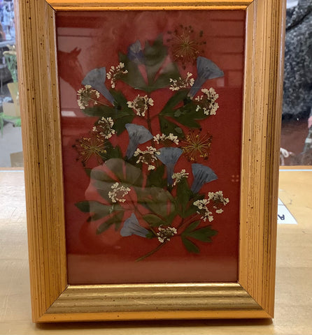 Framed Dried Flower Art by Cecelia